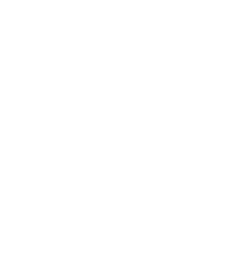 Secure password server