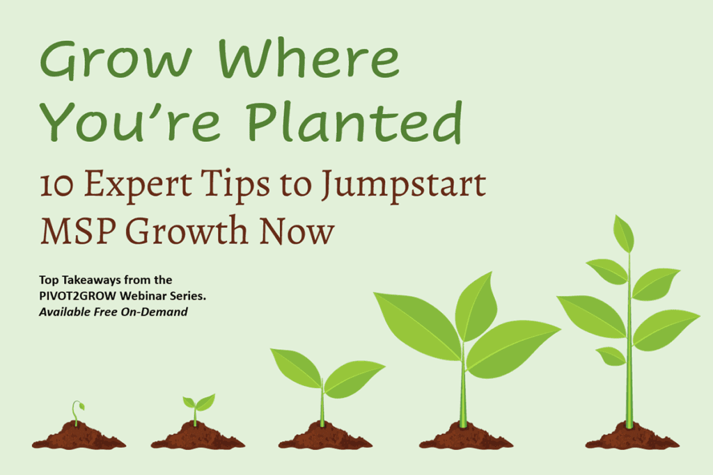 Grow Where You’re Planted: 10 Expert Tips to Jumpstart MSP Growth Now ...