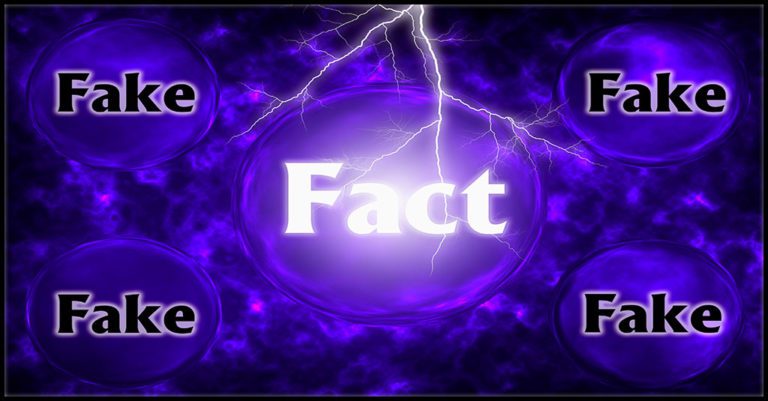 "fact" in white modern lettering n a purple background bisected by lightning and surrounded by smaller versions of the word fake.